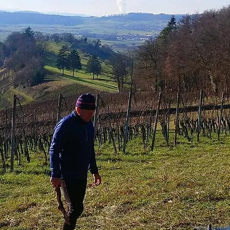 Szálloda Wilder Mann 3*