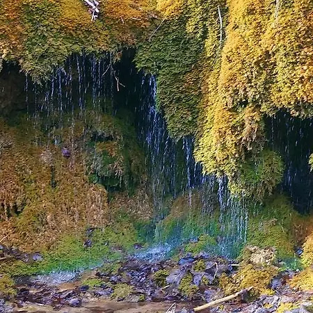 Szálloda Wilder Mann