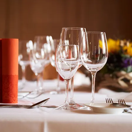 Landhotel Wilder Mann Ξενοδοχείο 3*