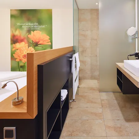 Hotel Wilder Mann 3*