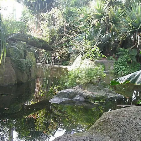 Wilder Mann 3* Eggingen