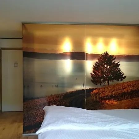 Landhotel Wilder Mann Hotel Eggingen