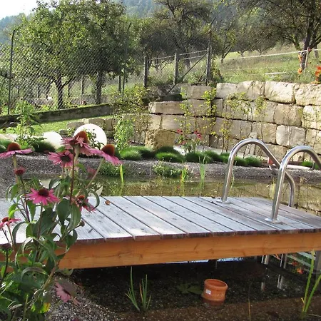 Szálloda Wilder Mann