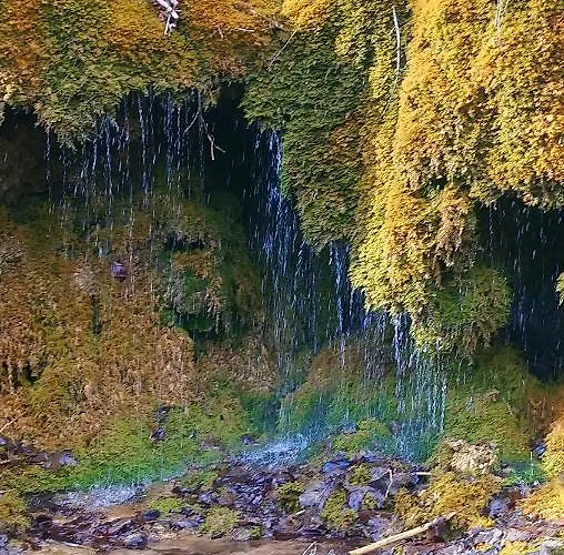 فندق Wilder Mann