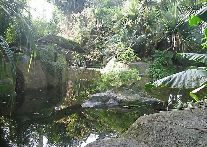 Wilder Mann 3* Eggingen