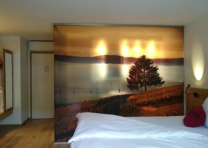 Wilder Mann فندق Eggingen